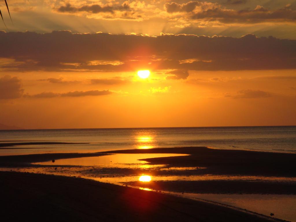 Dolphin Beach Bali Lovina Esterno foto