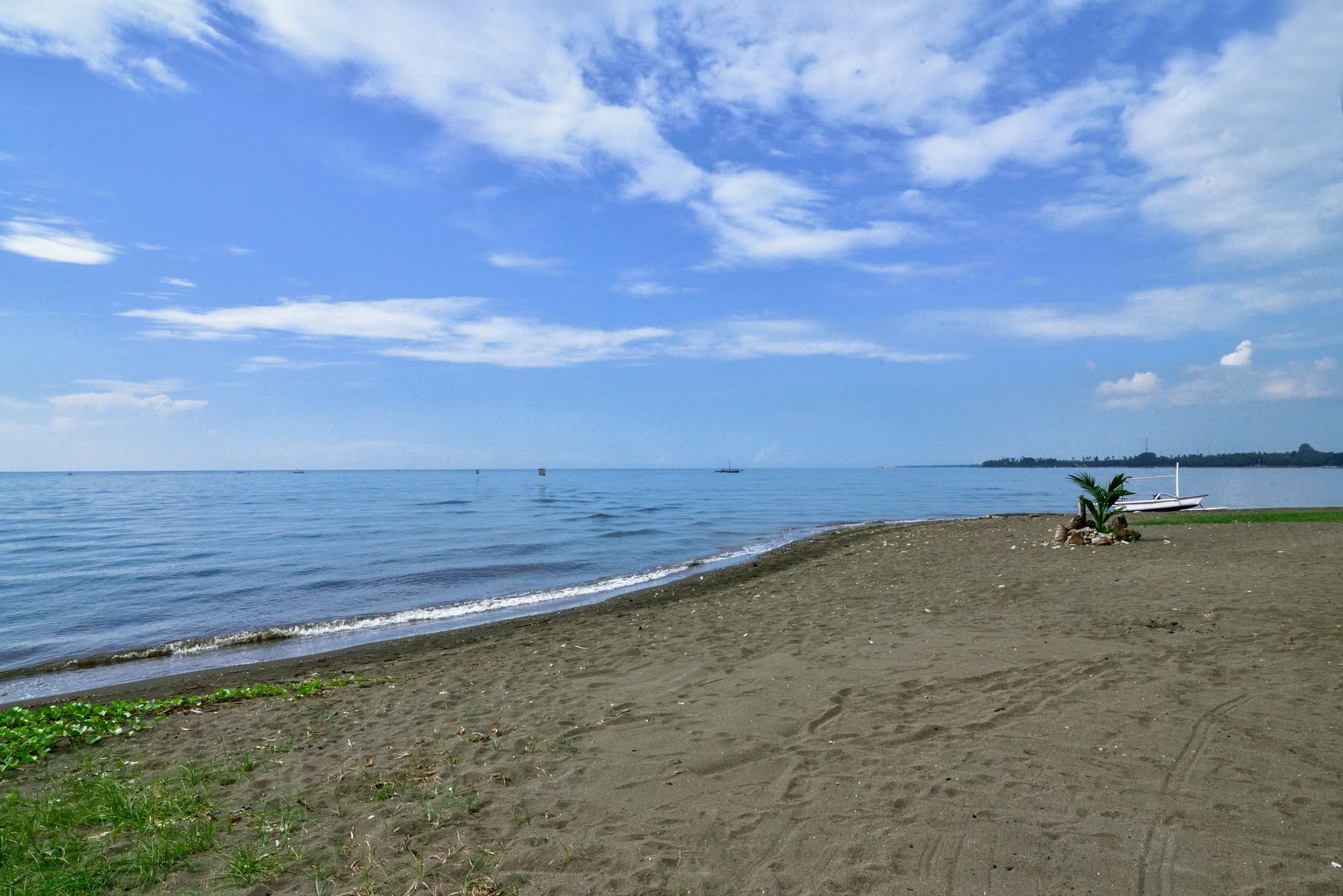 Dolphin Beach Bali Lovina Esterno foto